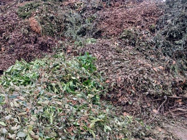 Groenafval - Containerverhuur Joosen in Brecht